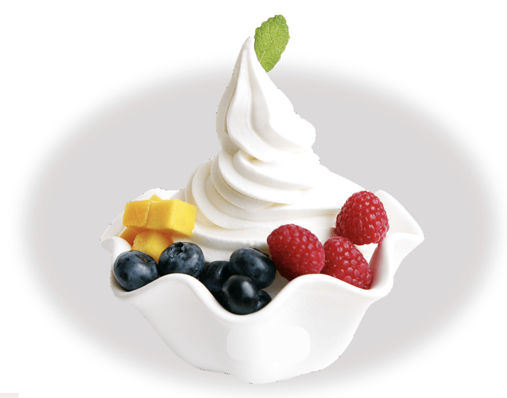 Yogurt Powder Supplier